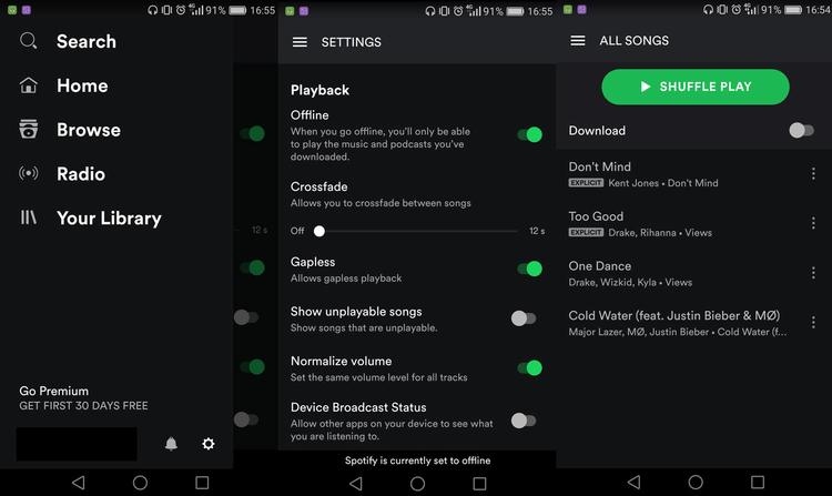 Spotify offline download computer app
